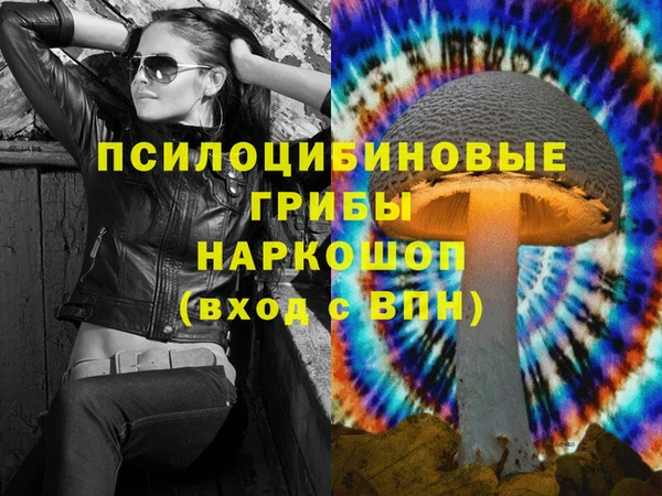 марки nbome Белокуриха