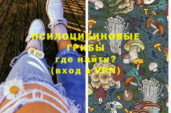 марки nbome Белокуриха