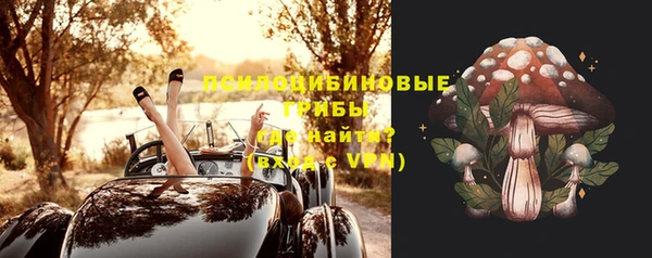марки nbome Белокуриха
