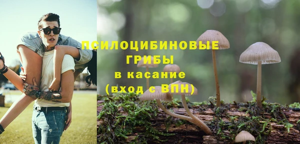 марки nbome Белокуриха