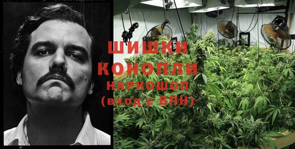 PSILOCYBIN Белоозёрский