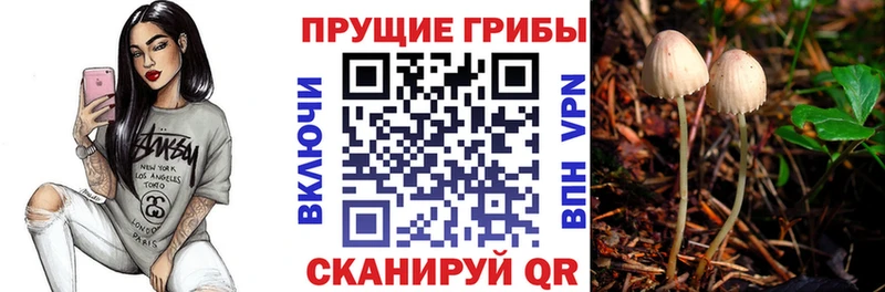 Псилоцибиновые грибы ЛСД Устюжна